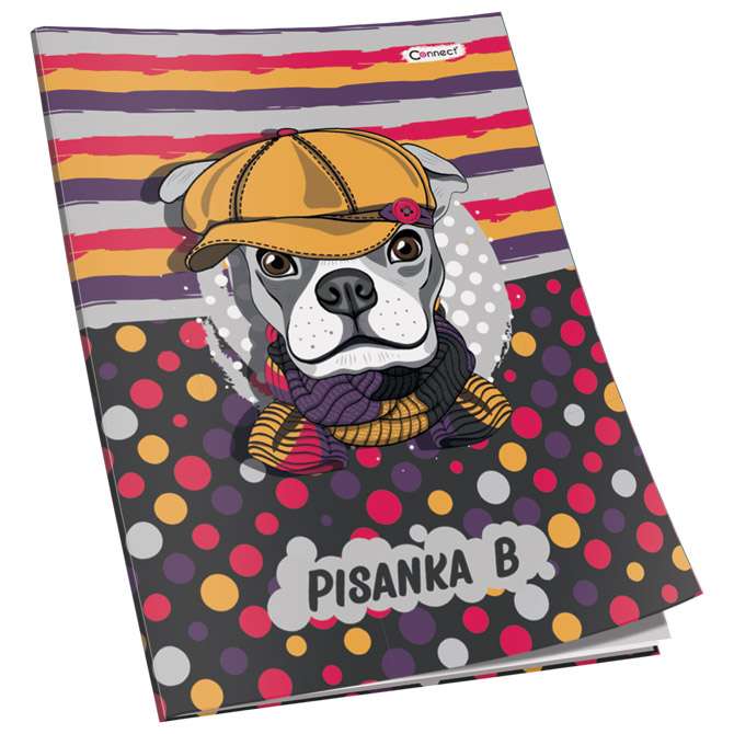 Obrazac školski pisanka "B" za 1razred Premium Connect Girl