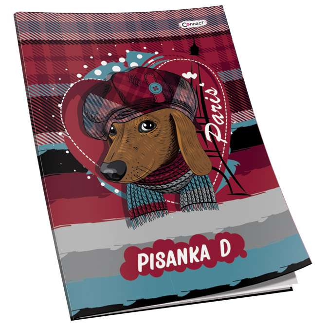 Obrazac školski pisanka "D" za 4razred Premium Connect Girl